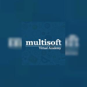 multisoftvirtualacademy