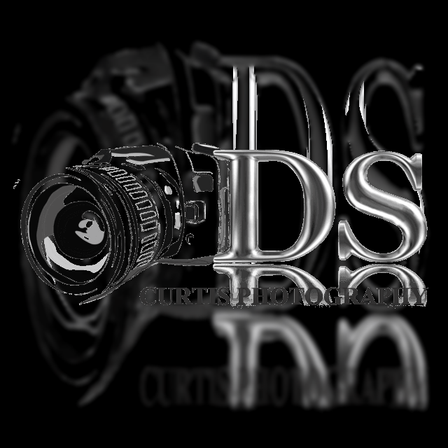 dscurtisphotography